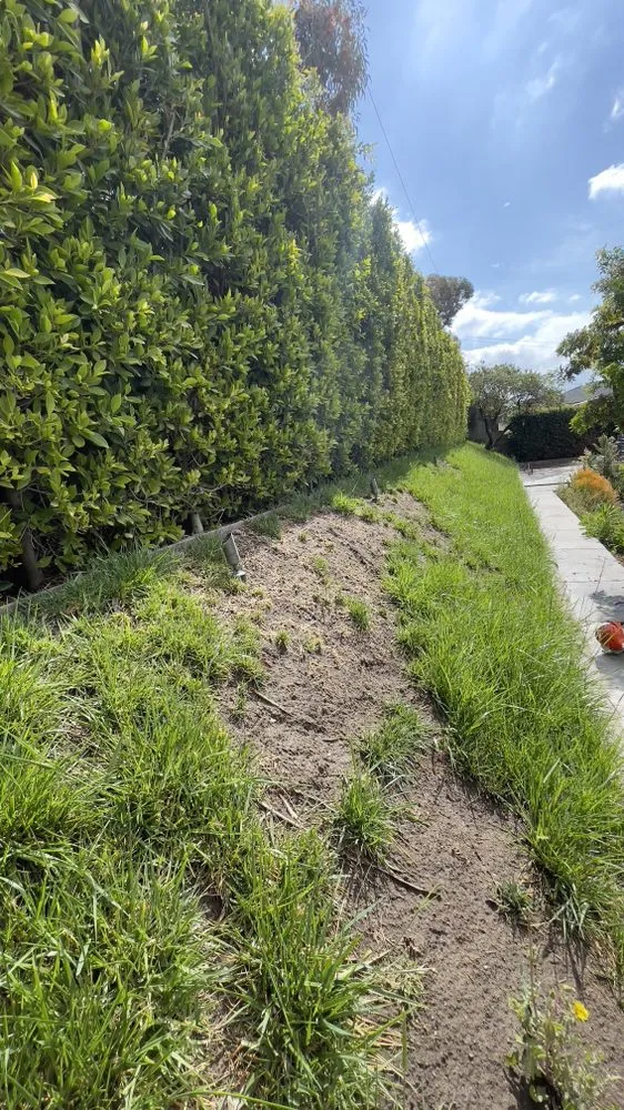 Reliable landscape installation experts serving Baldwin Park, CA - Ethan Elaine Landscaping & maintenance