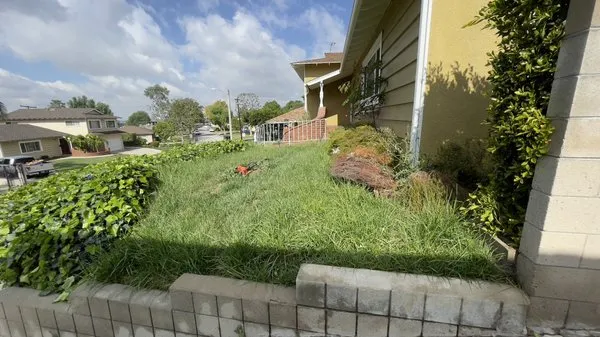 Ethan Elaine Landscaping & maintenance Logo