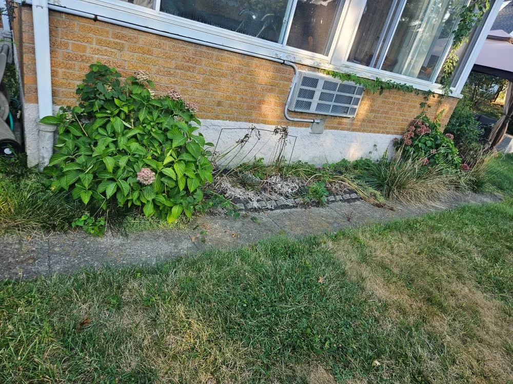 Top-rated yard maintenance in Cincinnati, OH - Ethan Erdman Landscaping