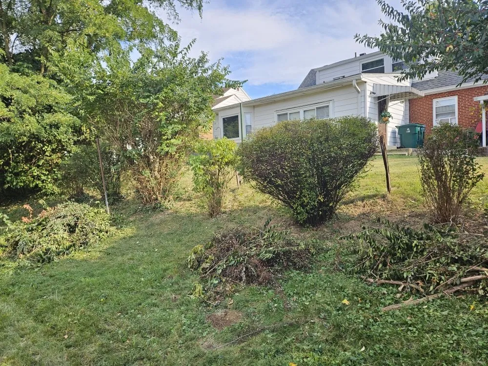 Expert garden landscaping in Cincinnati, OH by Ethan Erdman Landscaping