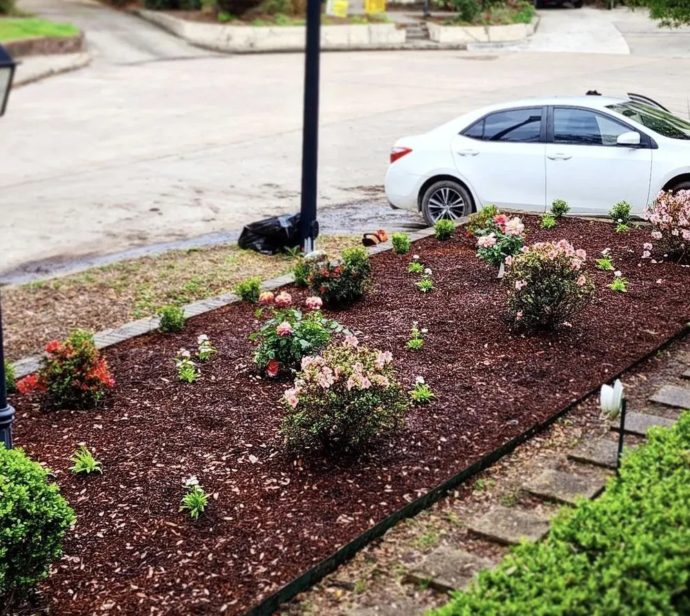 Trusted yard cleanup service in Pasadena, TX by Ethan landscape Designs