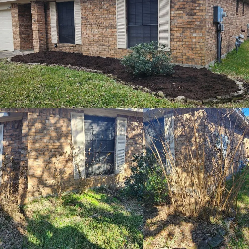 Reliable lawn care service in Pasadena, TX - Ethan landscape Designs