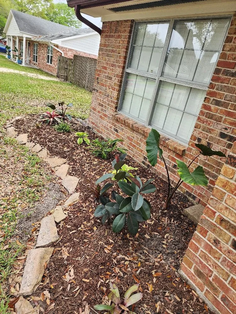 Affordable residential landscaping in Pasadena, TX by Ethan landscape Designs