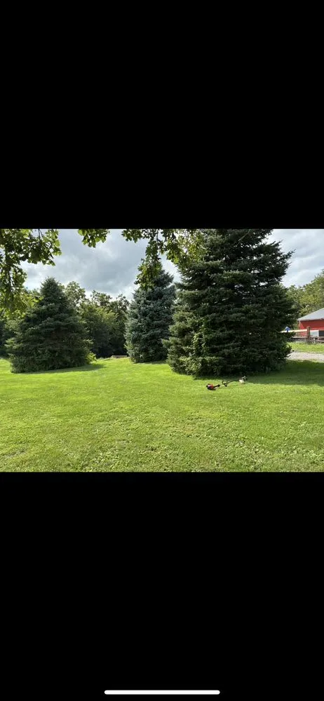 Professional landscape design experts serving Blue Grass, IA - Ethan Prevails