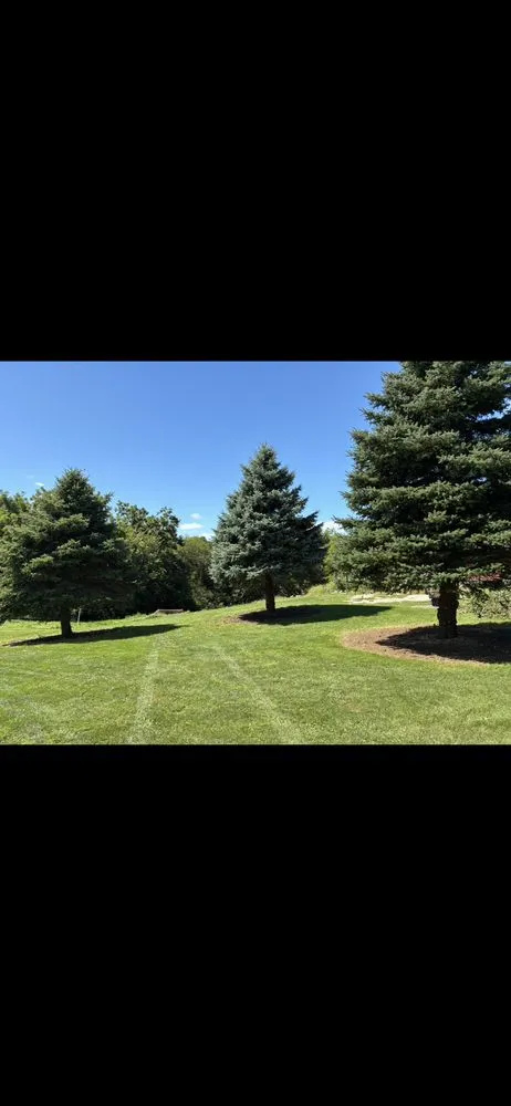 Reliable yard cleanup service experts serving Blue Grass, IA - Ethan Prevails