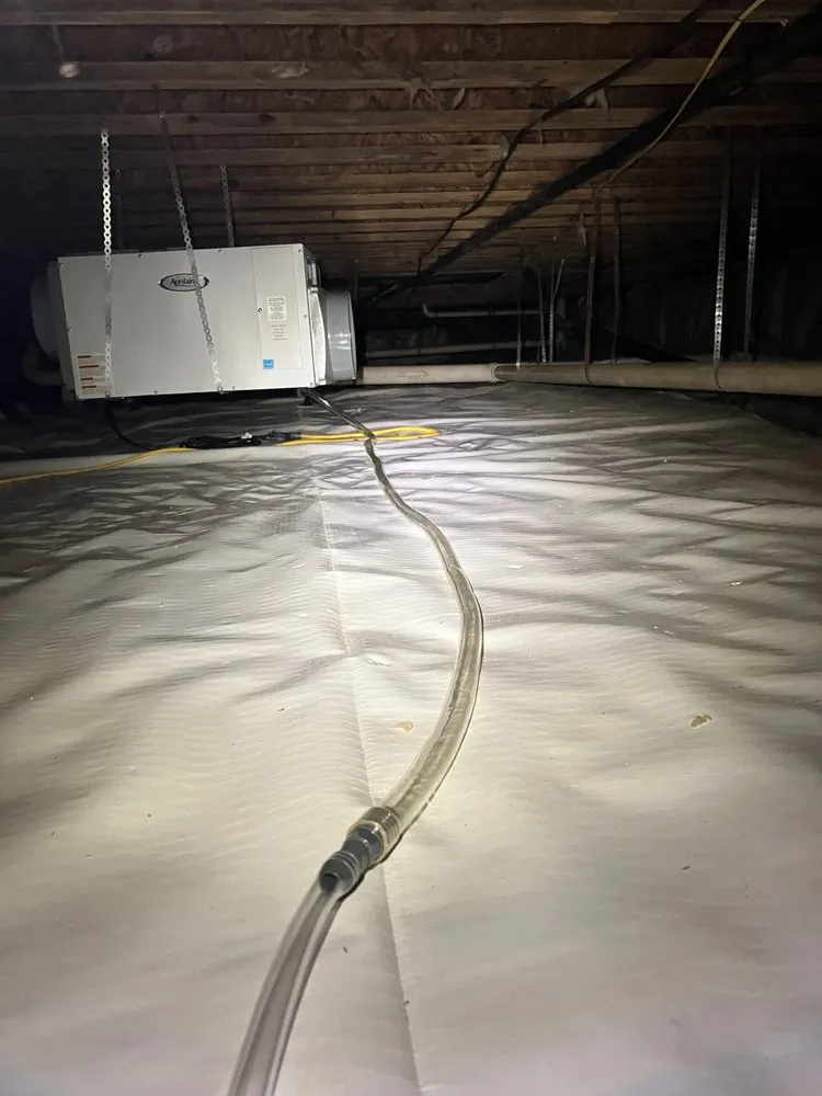 Expert yard maintenance in Southaven, MS by Ethan’s All in One Home Services