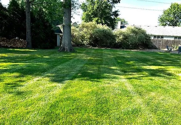 Ethan’s Greens Logo