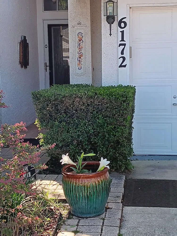 Custom residential landscaping in Glen Saint Mary, FL - Ethans Home Improvments And Lawn Service