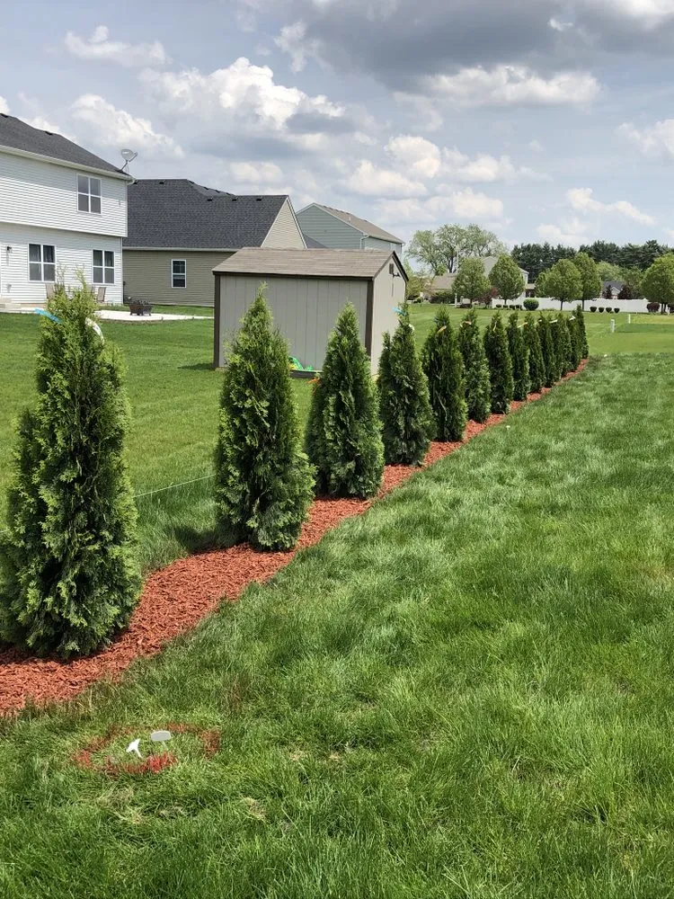 Affordable residential landscaping for outdoor upgrades in Hammond, IN by Ethan's Landscaping & Brickpaving