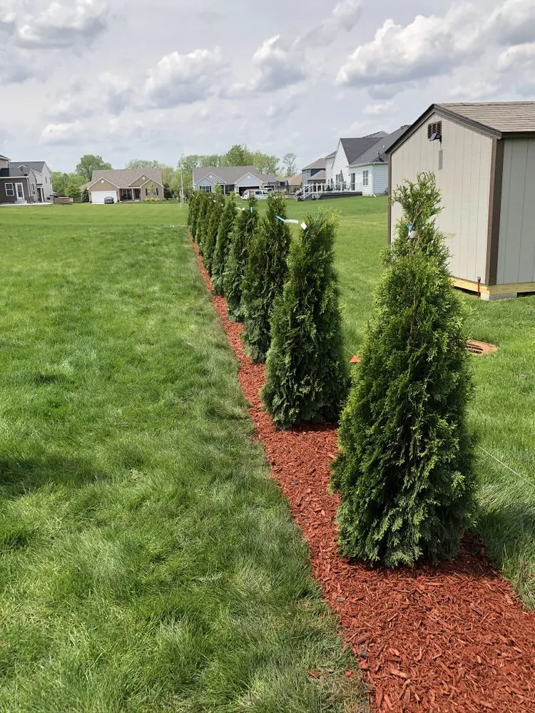 Professional yard maintenance for year-round maintenance in Hammond, IN by Ethan's Landscaping & Brickpaving