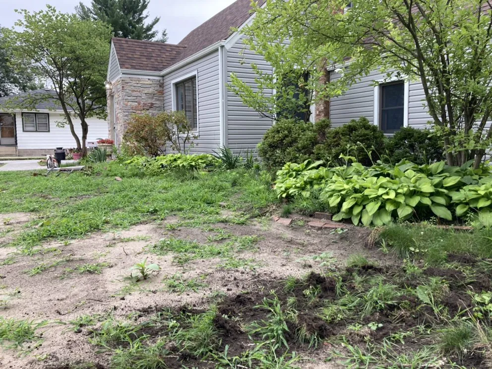 Professional landscape installation for year-round maintenance across Hammond, IN - Ethan's Landscaping & Brickpaving