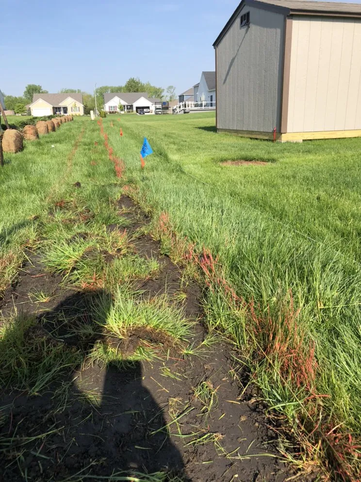 Affordable residential landscaping in Hammond, IN by Ethan's Landscaping & Brickpaving