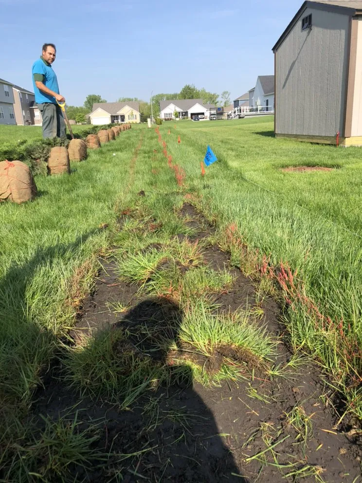 Local yard maintenance near you across Hammond, IN - Ethan's Landscaping & Brickpaving