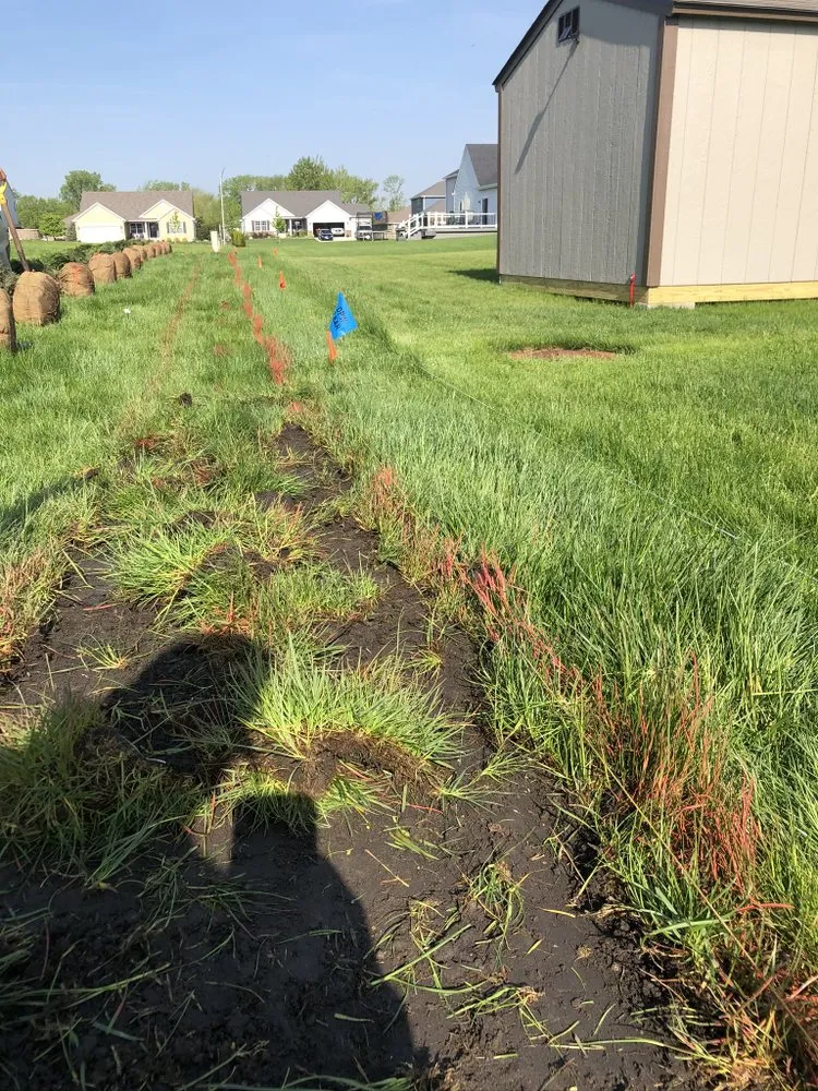Local yard maintenance for outdoor upgrades in Hammond, IN by Ethan's Landscaping & Brickpaving