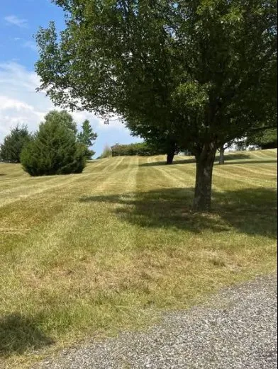 Local yard maintenance experts serving Mount Sidney, VA - Ethans Landscaping
