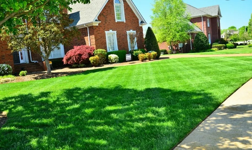Local lawn mowing service for outdoor upgrades in Front Royal, VA by Ethans Lawn Care