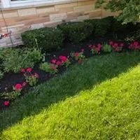 Expert yard maintenance in Oak Lawn, IL - Ethan's Pro Turf Enforcement