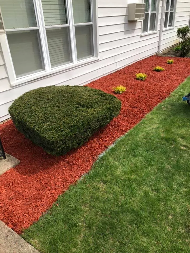 Reliable lawn care service in Oak Lawn, IL - Ethan's Pro Turf Enforcement