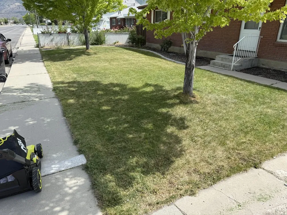 Affordable yard maintenance in Orem, UT by Ethen’s Lawn Mowing Care