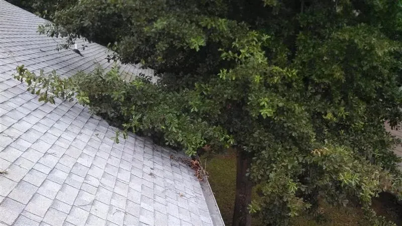 Affordable yard cleanup service for outdoor upgrades in Anna, TX by Ethos