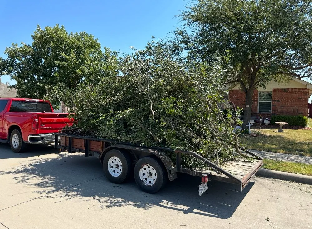 Local landscape design for outdoor upgrades across Anna, TX - Ethos