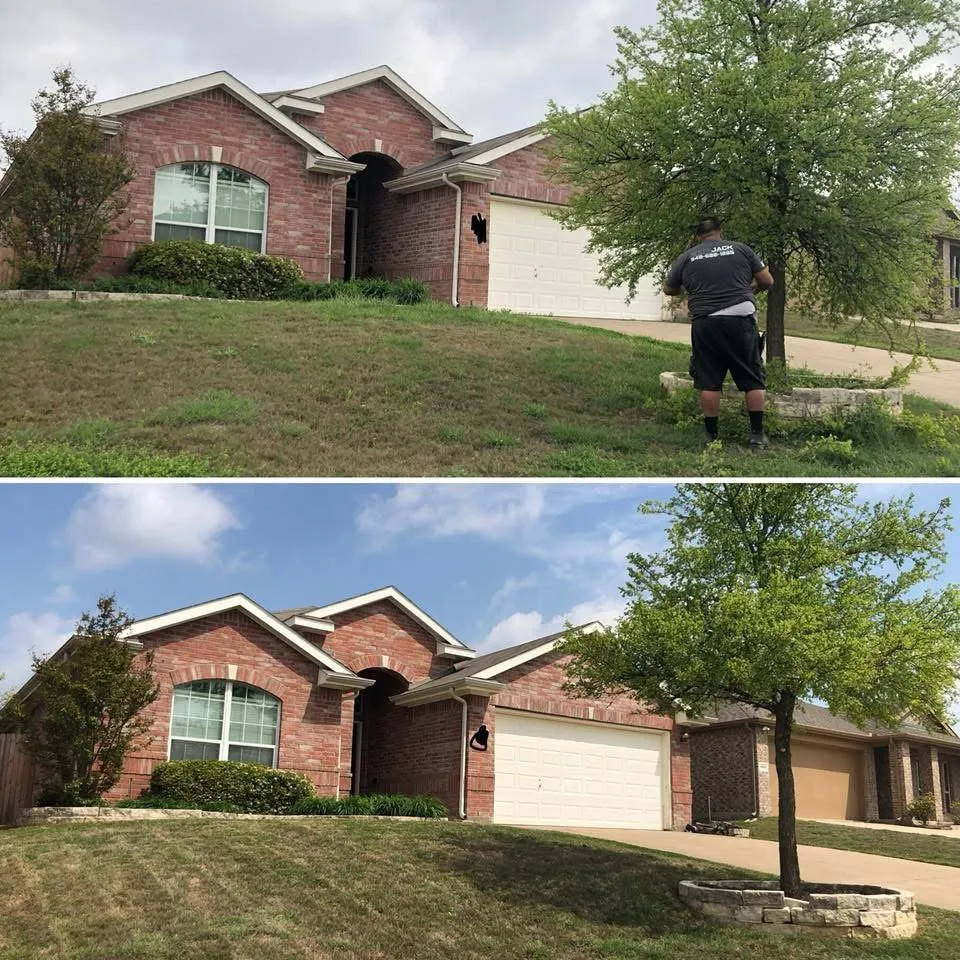 Trusted yard cleanup service in Anna, TX by Ethos