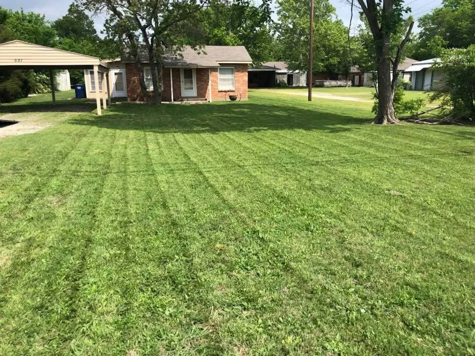 Expert yard cleanup service for year-round maintenance in Anna, TX by Ethos