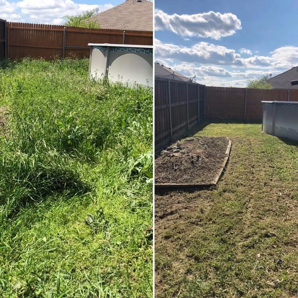 Affordable lawn care service in Anna, TX - Ethos