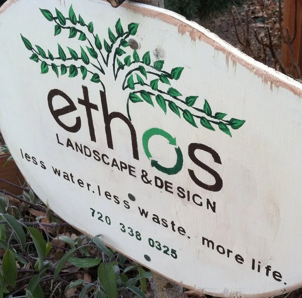 Expert yard maintenance in Denver, CO - Ethos Landscape & Design