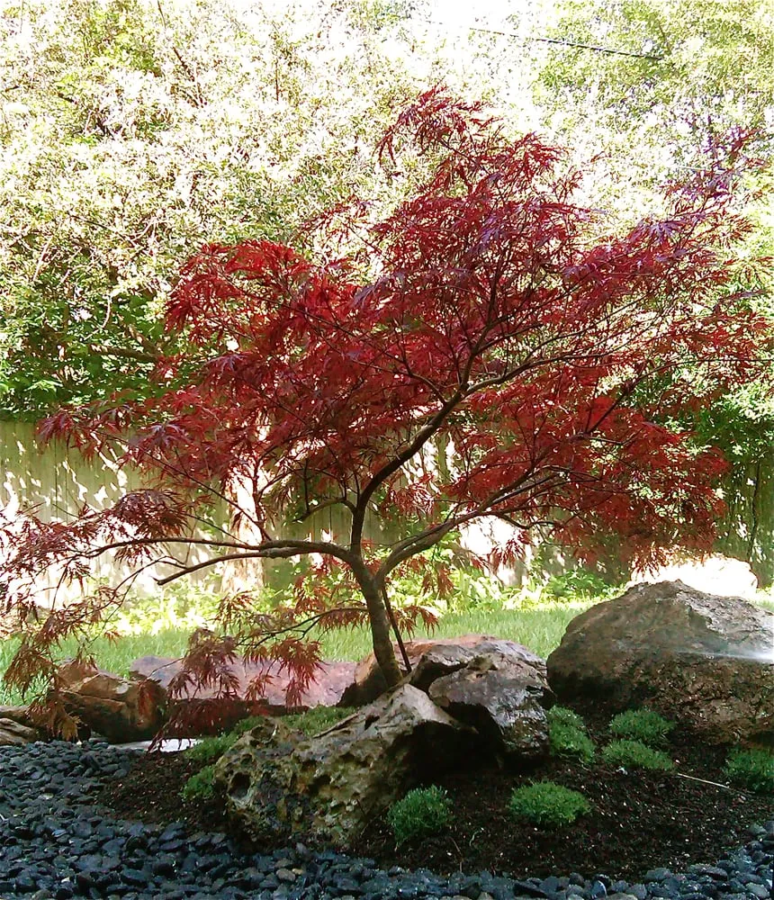 Trusted residential landscaping in Denver, CO by Ethos Landscape & Design