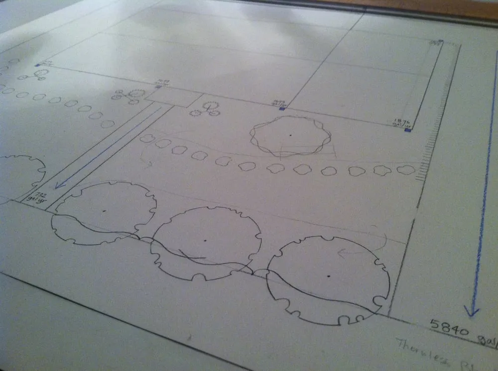 Trusted lawn mowing service in Denver, CO - Ethos Landscape & Design