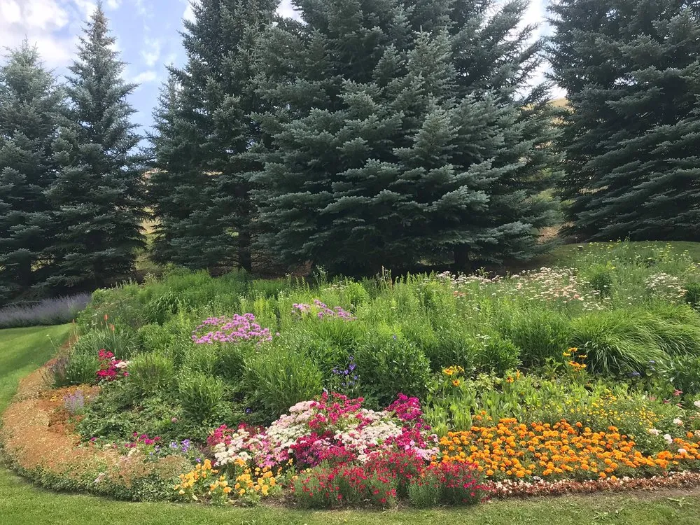 Trusted lawn care service for homes in Avon, CO by Ethos Landscaping