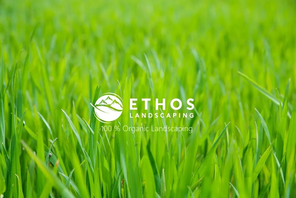 Trusted outdoor landscaping with custom design in Avon, CO by Ethos Landscaping