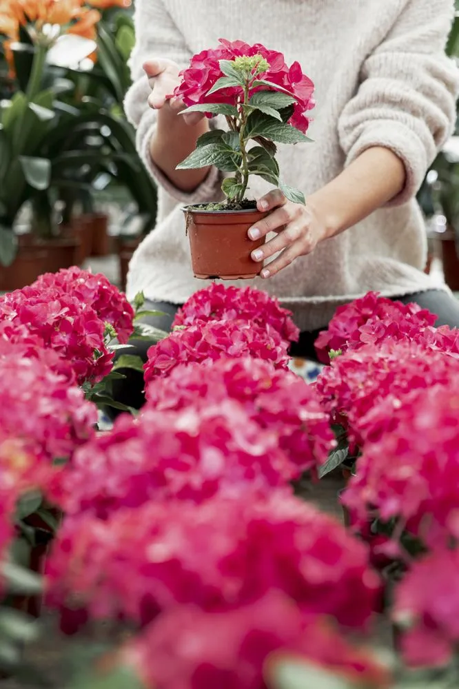 Custom garden landscaping for beautiful yards in Avon, CO by Ethos Landscaping