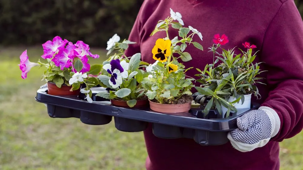 Trusted landscaping services in Avon, CO - Ethos Landscaping