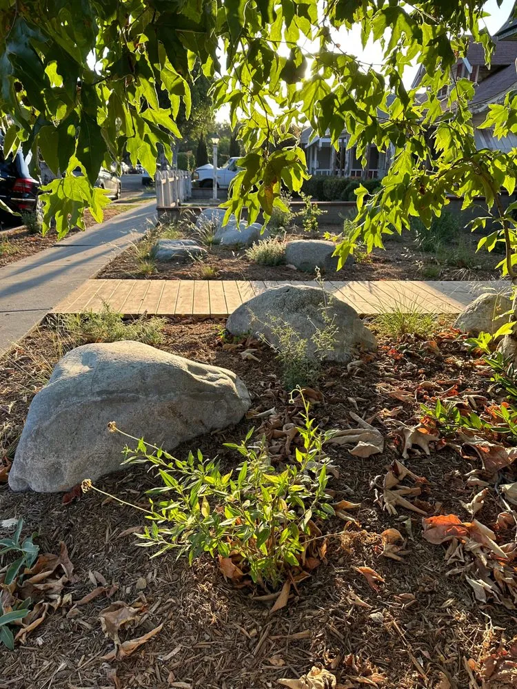 Affordable lawn mowing service in Los Angeles, CA by Ethoscapes Design and Build