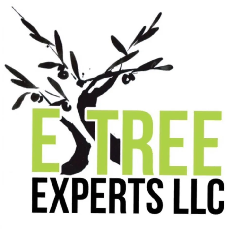 Expert outdoor landscaping in Silver Spring, MD - Etree Experts