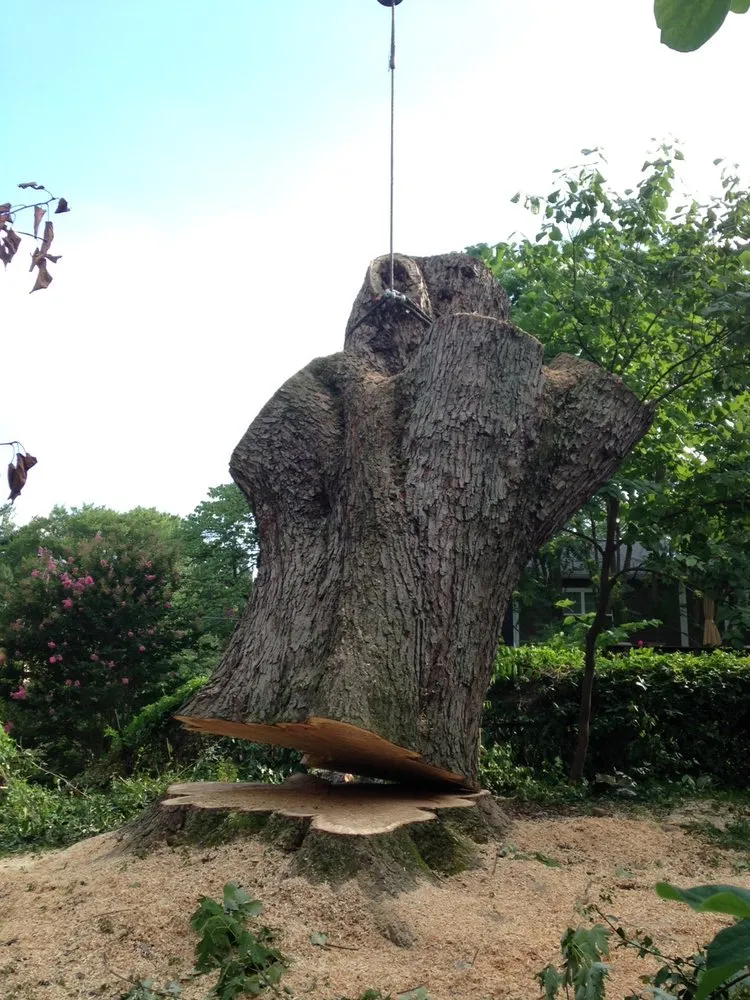 Local garden landscaping for beautiful yards across Silver Spring, MD - Etree Experts