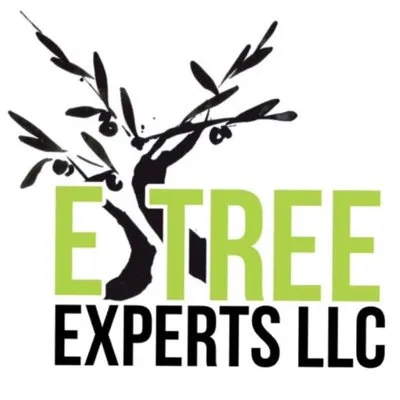 Etree Experts Logo