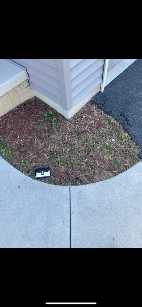 Affordable lawn mowing service experts serving Felton, DE - Ets Lawncare and More