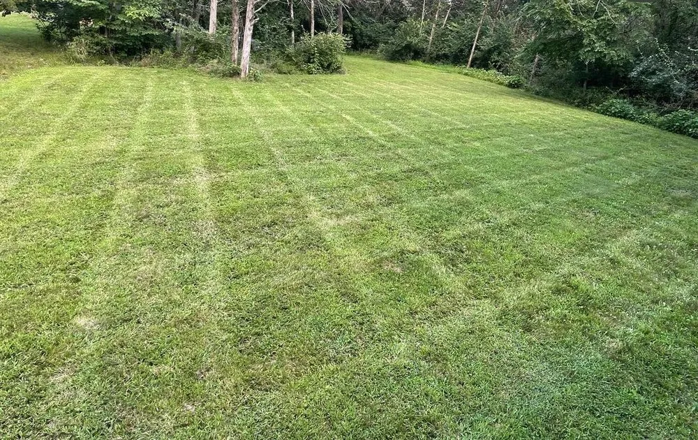 Top-rated outdoor landscaping in Springfield, MO - ET's Lawncare and More