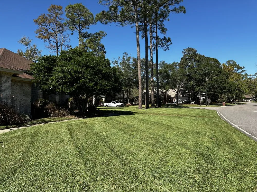 Trusted yard cleanup service experts serving Fleming Island, FL - Ettinger Lawn and Landscape