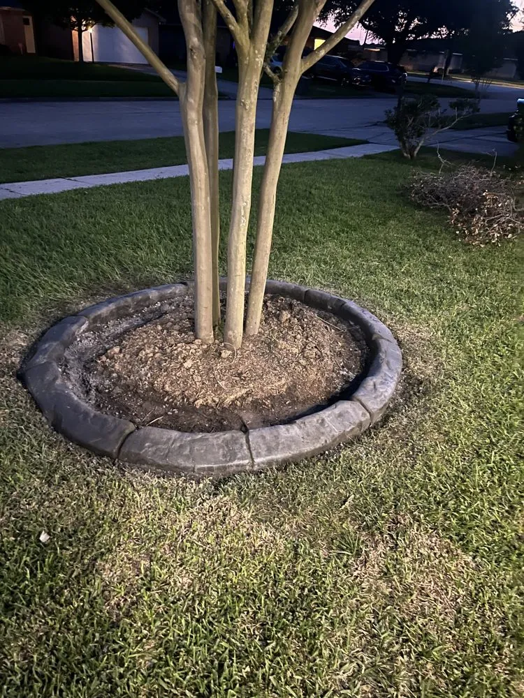 Reliable landscaping services experts serving Nacogdoches, TX - ETX Curb Appeal