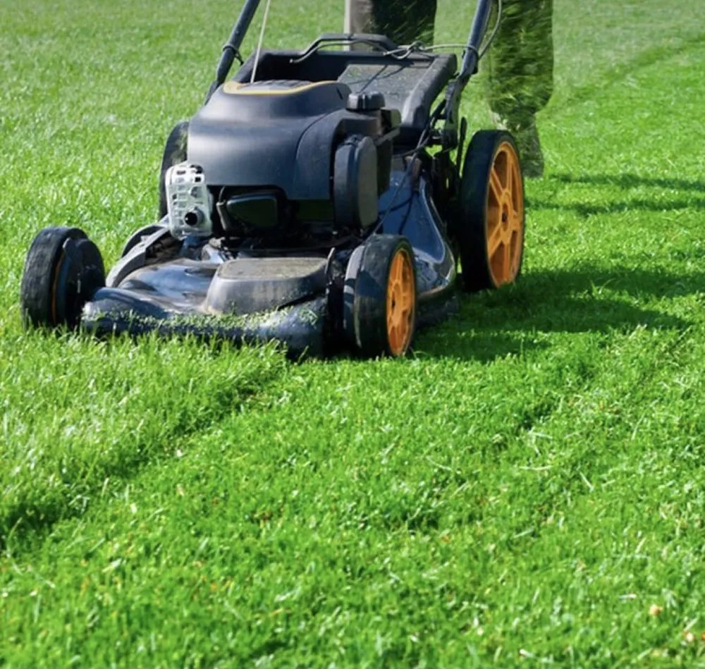 Professional garden landscaping experts serving Arp, TX - Etx Custom Lawn Services