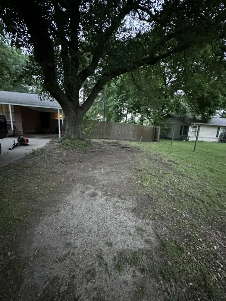 Trusted yard cleanup service in Wills Point, TX by Etx Fresh Cuts