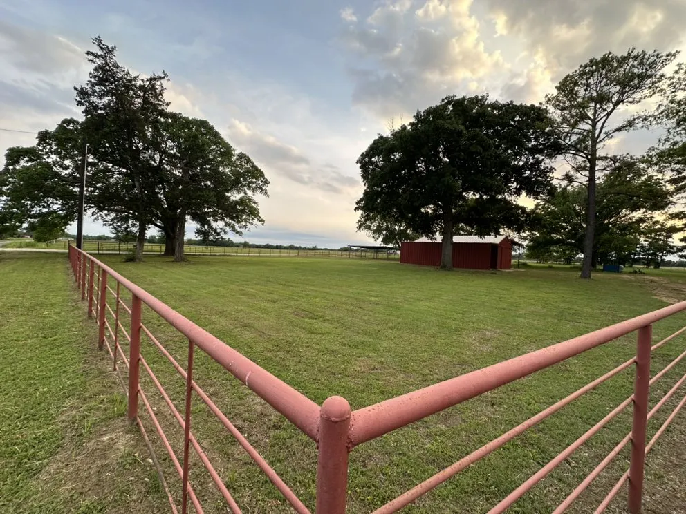 Professional garden landscaping near you across Wills Point, TX - Etx Fresh Cuts