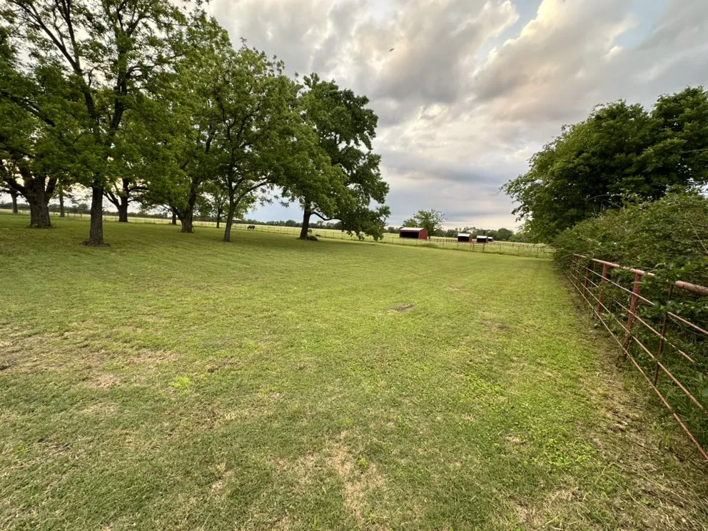 Professional lawn care service in Wills Point, TX by Etx Fresh Cuts