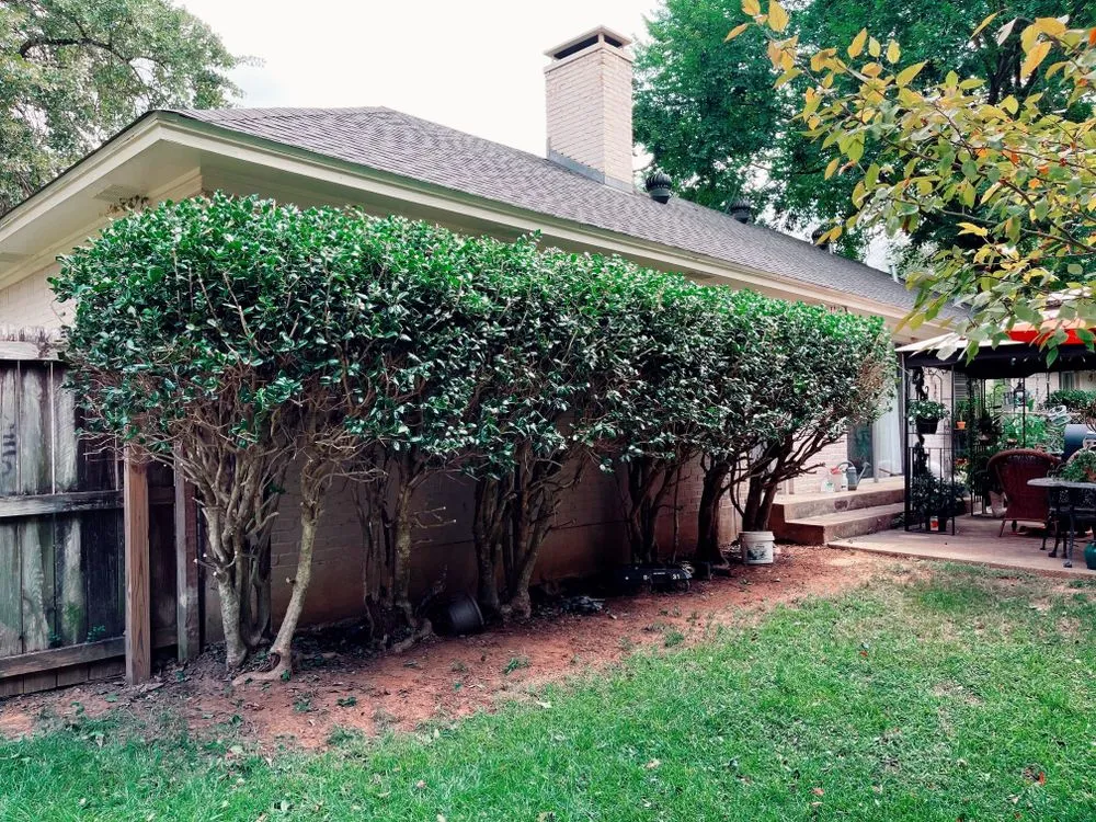 Professional lawn care service in Tyler, TX by ETX Lawn & Order