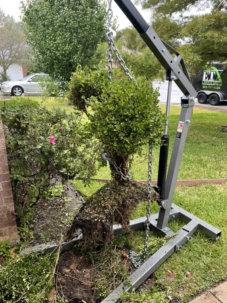 Top-rated residential landscaping for beautiful yards in Tyler, TX by ETX Lawn & Order