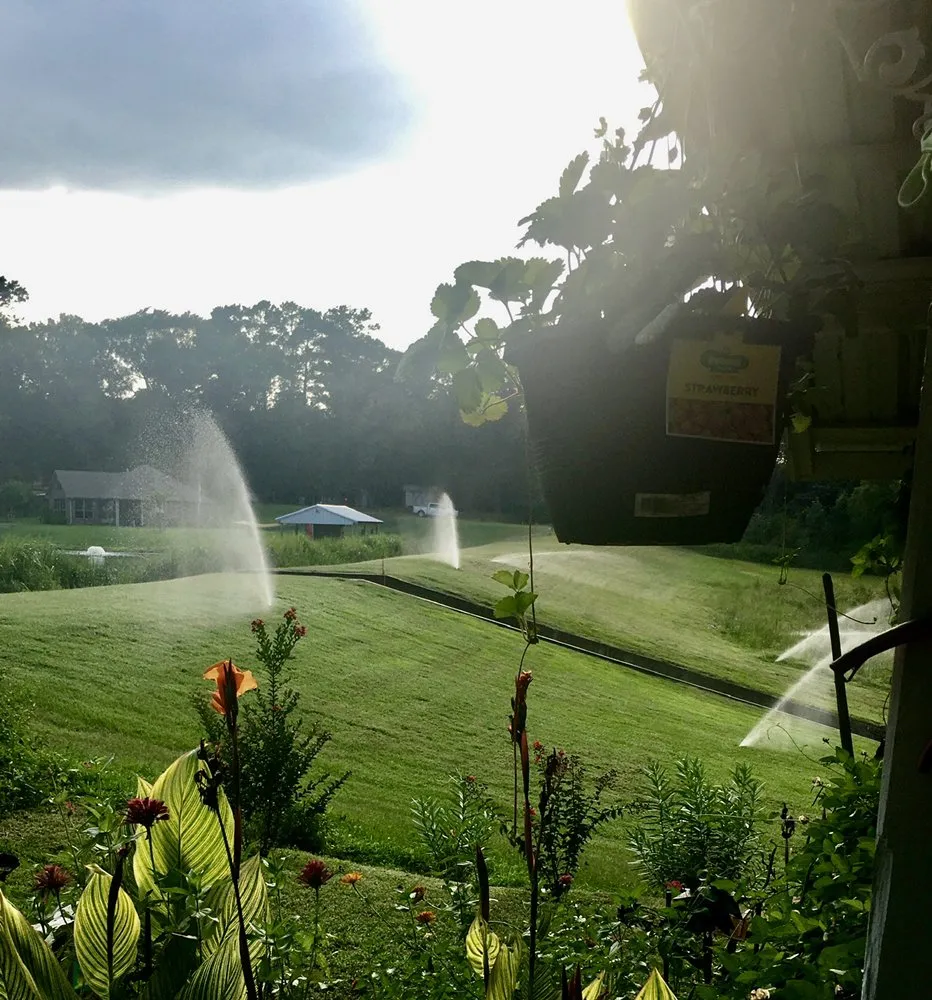 Local yard cleanup service in Tyler, TX - ETX Lawn & Order